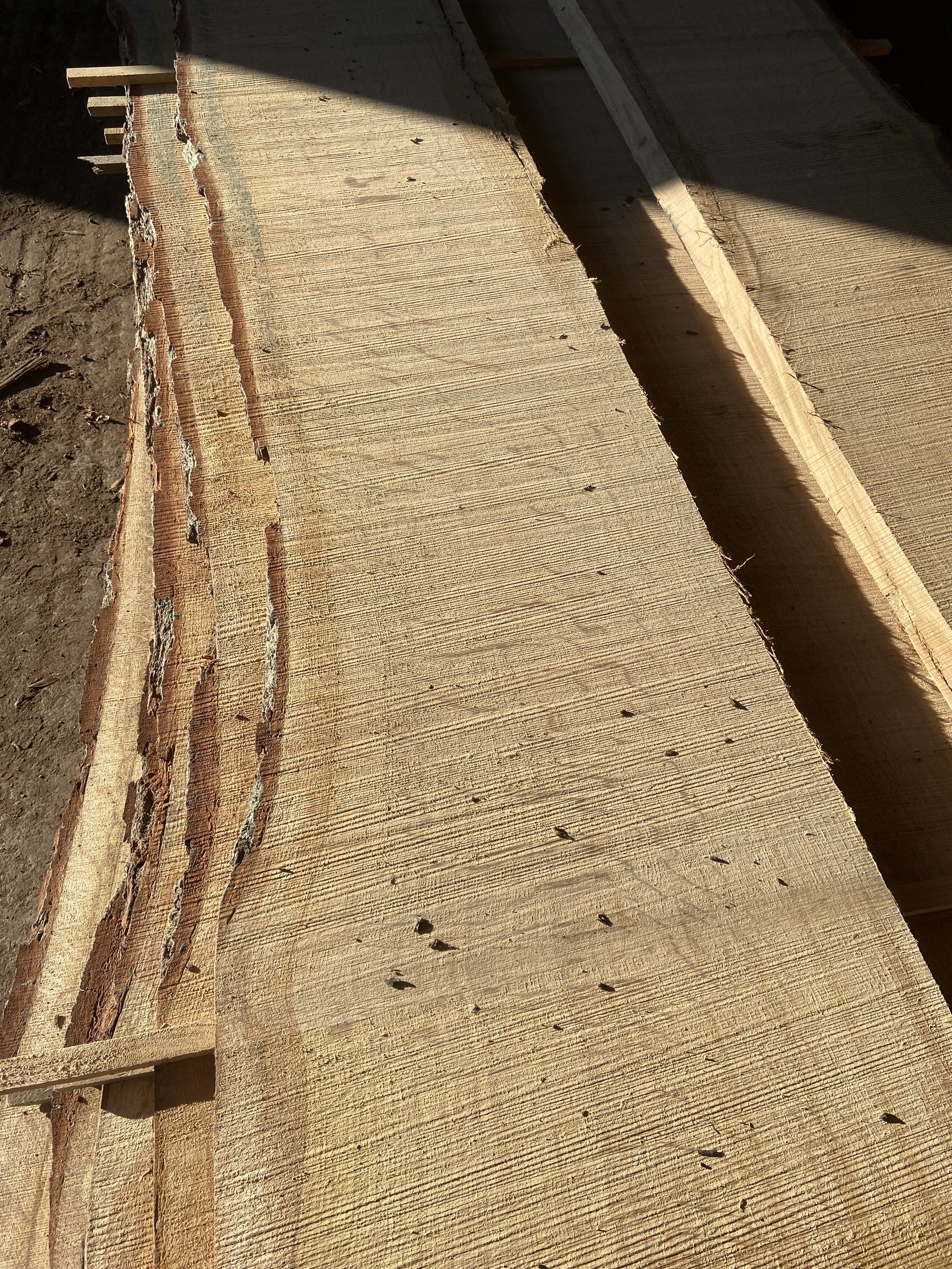 Waney edged Quarter Sawn English Oak - Image 2