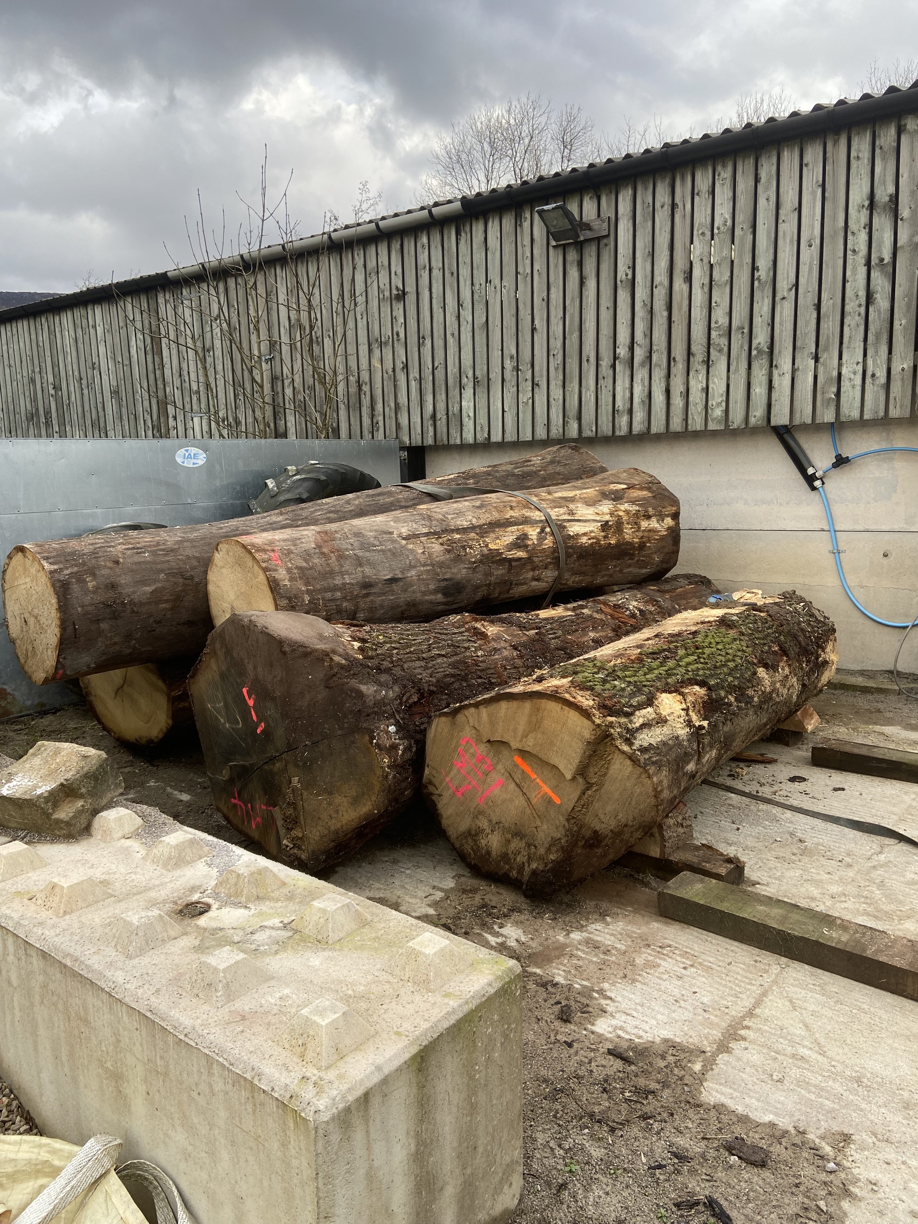 Sawmill Services - Image 5