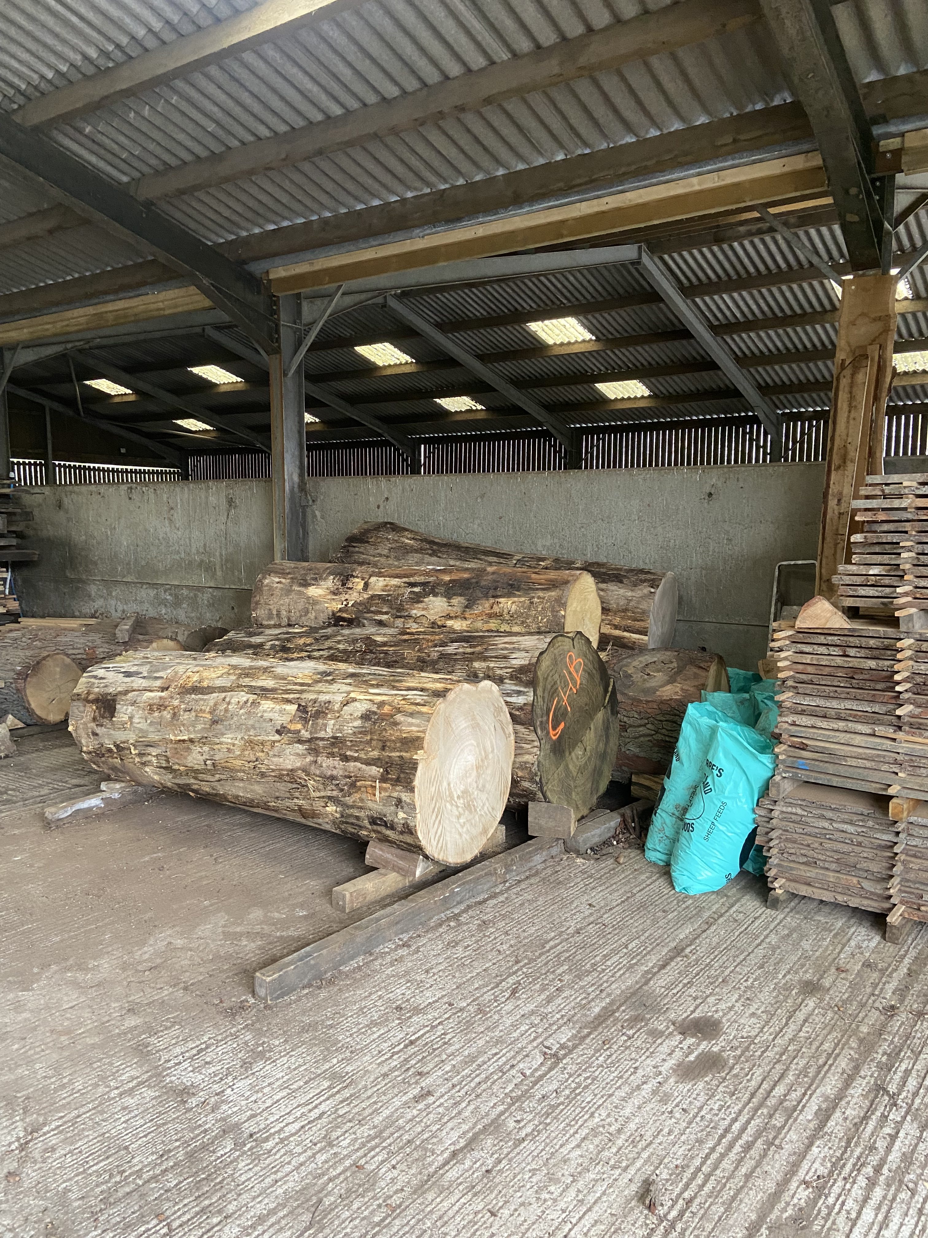 Sawmill Services - Image 3