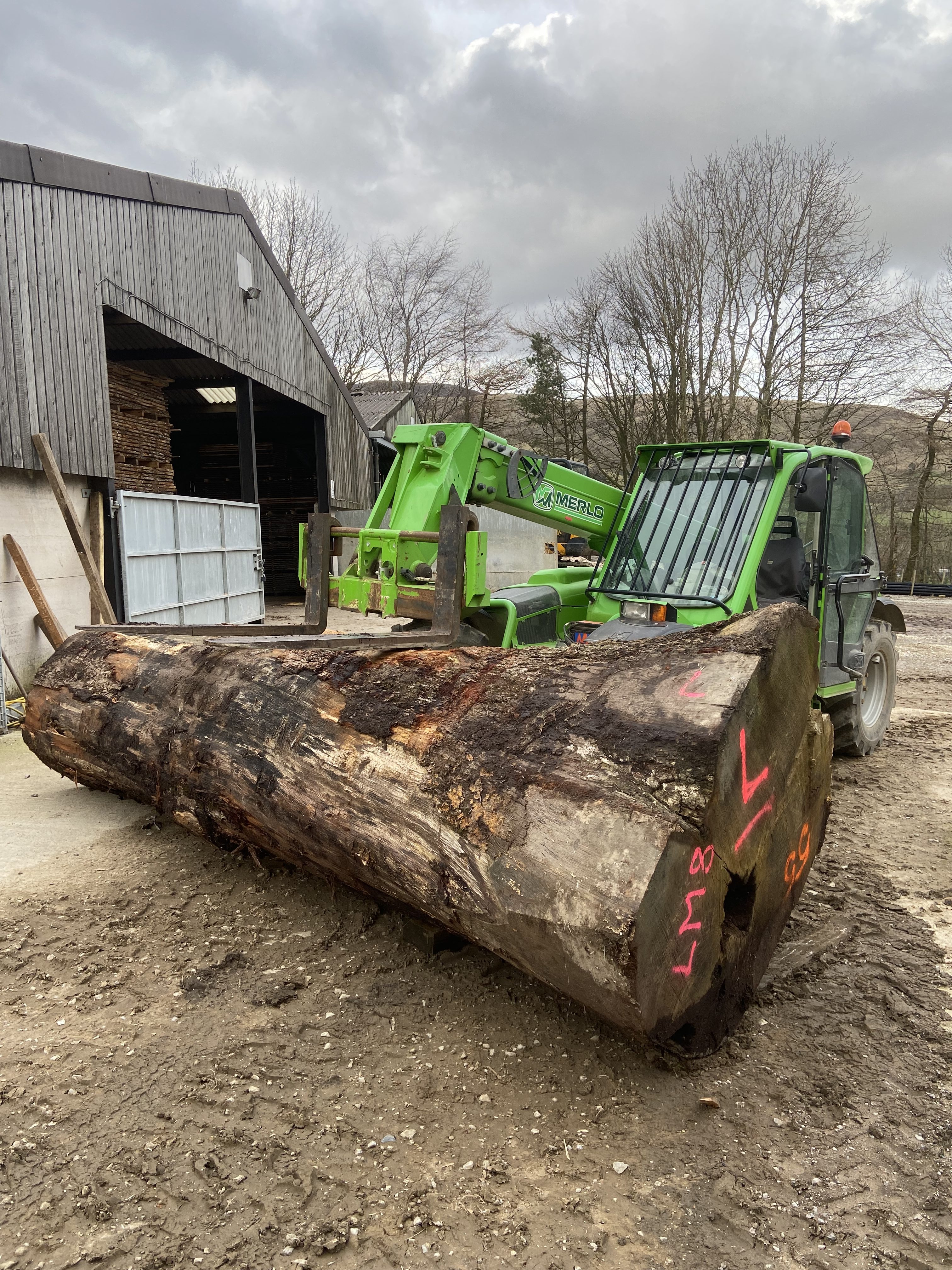 Sawmill Services - Image 2